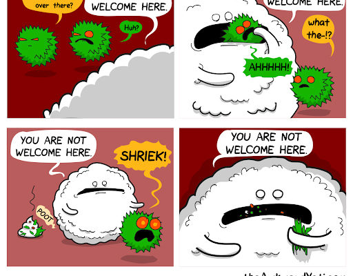 Cxcr4 distinguishes HSC-derived monocytes from microglia and reveals monocyte immune responses to experimental stroke